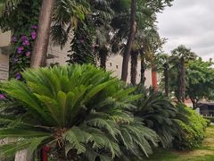 -四川大学(望江校区)