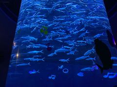 -香港海洋公园