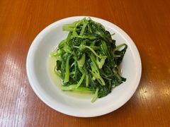 清炒鸡毛菜-老瑞福上海菜(人民广场店)