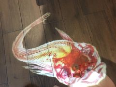 -大丰收脆鱼(万达江北店)