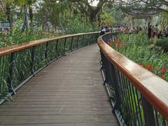 -四海公园(南山区)