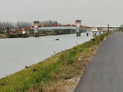 -池杉湖湿地公园