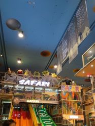 点击看大图 -卡通尼·Safari非洲探索乐园·生日会(金桥国际商业广场店)