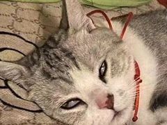 -沐森澜·轻奢足道·养生·SPA