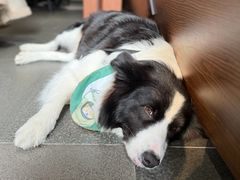 -Onirii Coffee(长乐路店)