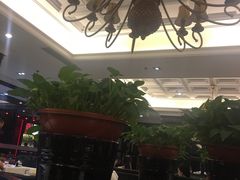 -金春禧(世茂国际广场店)