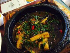 iphone_upload_pic-糊涂兔毛毛菜(八里庄店)