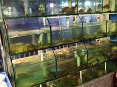-凯华海鲜火锅·传承三十六年