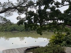 -江心屿景区