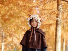 -上海海湾国家森林公园