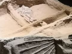 -洛阳周王城天子驾六博物馆