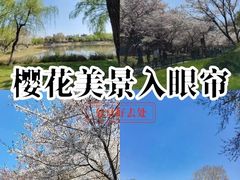 -堤角公园
