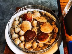 野生扇贝-海味当家·蒸锅海鲜(星海公园店)