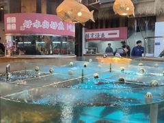 -耕渔小院·湖南鱼鲜(望城店)