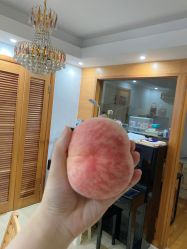 -哈玛匠果园
