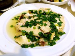-凤城礼记鱼翅海鲜酒家(新马路总店)