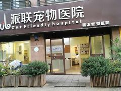 -派联宠物医院·24h·CT·异宠