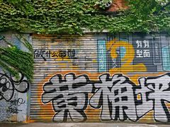 -黄桷坪涂鸦艺术街