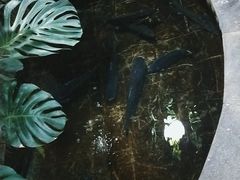-燕北云山·农家菜·灶台鱼(密云溪翁庄店)