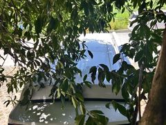 -千岛湖城中湖游船码头
