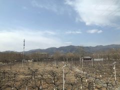 -那家山城(樱桃园店)