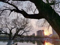 -青城公园