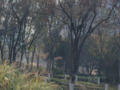 -华夏文旅西安度假区