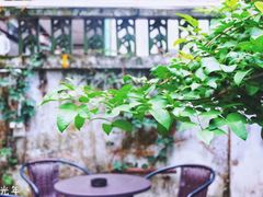 -微饮cafe