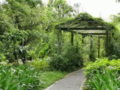-福田红树林生态公园