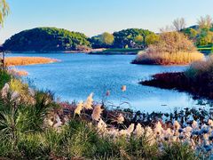 -北京雁栖湖国际会展中心