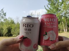 -东郊湿地公园