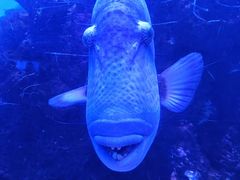 -泉城欧乐堡海洋极地世界