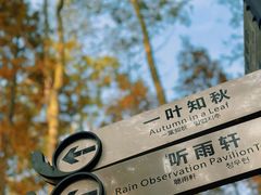 -桤木河湿地公园