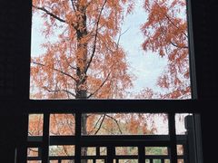 -汇龙潭