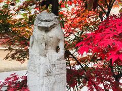 -西安关中民俗艺术博物院