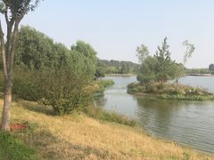 -东郊湿地公园
