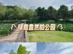 -沐仙湖湿地公园