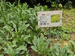 -广东中医药博物馆