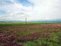 -青海湖国家重点风景名胜区