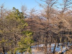 -泰山风景名胜区