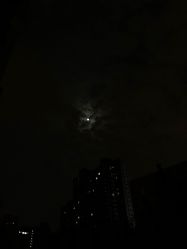 -木北造型