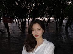 -宝安西湾红树林湿地公园