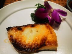 酱烤银鳕鱼-北京泰富酒店-道日本料理餐厅