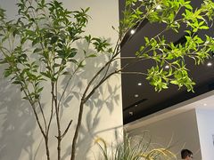 -Seesaw Coffee(深圳深业上城店)