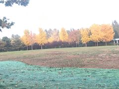 -左陕右甘(亚运村店)