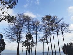-深圳湾公园(南山区)