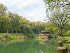 -杭州植物园