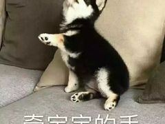 -喜虾客·大虾火锅(郑州无限城店)