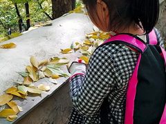 -北京上方山国家森林公园