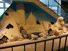 -济州岛泰迪熊博物馆